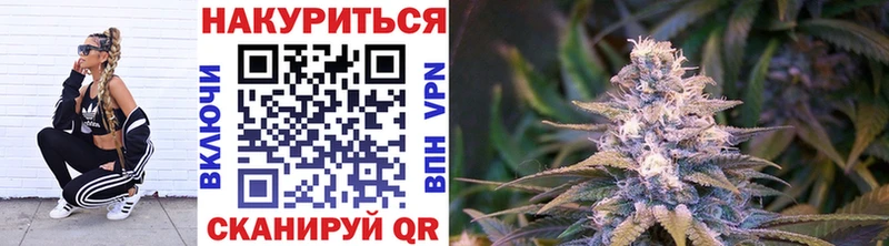 Марихуана гибрид  Староминская 